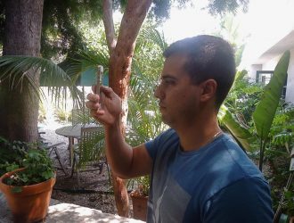 Как взять и поделиться фото сферами на вашем iPhone с помощью новой камеры Google для iOS