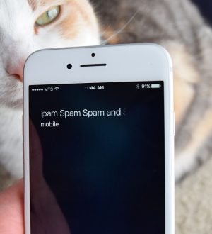 Как заблокировать спам-звонки на вашем iPhone |