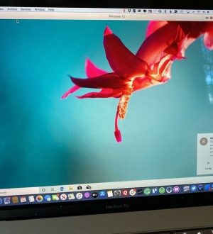 Как запустить Windows 10 на вашем Mac с помощью Parallels Desktop 15 |