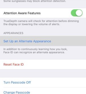 Как зарегистрировать идентификатор второго лица Посмотрите на свой iPhone в iOS 12