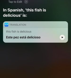 Как заставить Siri автоматически переводить языки для вас в iOS 11