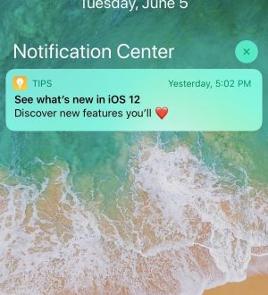 Мгновенная настройка: как быстро изменить настройки уведомлений для любого приложения в iOS 12