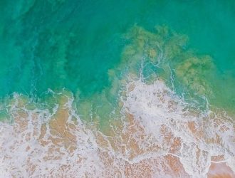 Не удается подключиться к App Store в iOS 11? Вот как это исправить на вашем iPhone