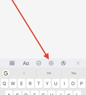 Notes 101: Как сканировать, редактировать и делиться документами прямо внутри заметок на вашем iPhone