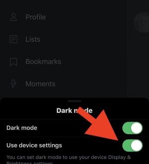 Приложение не поддерживает iOS 13s Dark Mode? Проверьте эти настройки