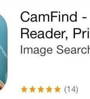 Приложение «Поиск по фото» для iPhone выдувает очки Google из воды