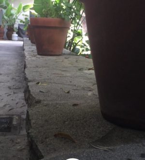 Разблокируйте меню Hyperlapses Secret Labs для записи в формате 1080p, ускоренных интервалов и многого другого