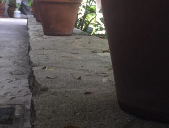 Разблокируйте меню Hyperlapses Secret Labs для записи в формате 1080p, ускоренных интервалов и многого другого