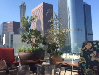 Редактируйте свои фотографии iPhone с помощью сторонних инструментов редактирования в iOS 8s фондовой фотографии приложения