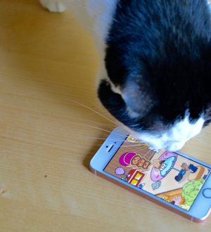 Руководство по игре Neko Atsume: Как собрать всех кошек! |