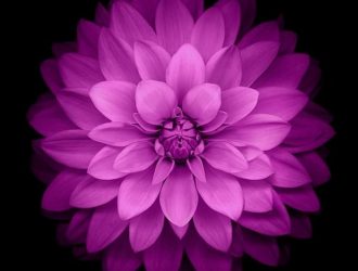 Скачать все 15 обоев с iOS 8 прямо сейчас