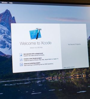 Теперь доступны сборы от Apple Developer Program, вот как подать заявку |