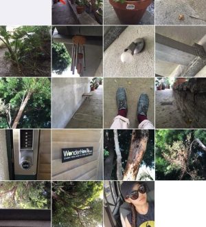 Ваши фото-тексты, возможно, раздают ваше местоположение (Вот как это предотвратить на iPhone)