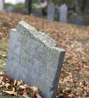 Вот как люди используют режим iPhone 7 Pluss Portrait в реальной жизни |