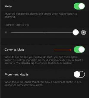 Как отключить телефонный звонок на Apple Watch
