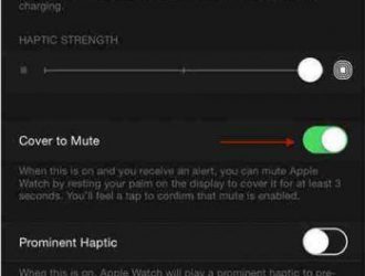Как отключить телефонный звонок на Apple Watch