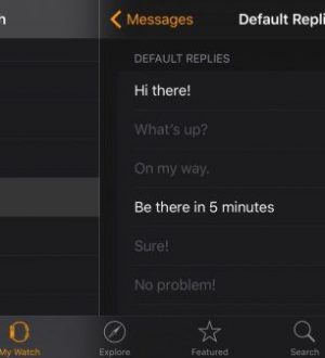 Как добавить пользовательские текстовые сообщения Ответы на Apple Watch