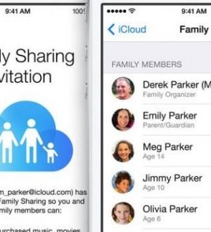 Плюсы и минусы iOS семейного обмена