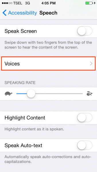Как активировать текст в речь на iPhone iOS 8