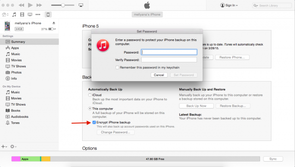 Ultimate Guide Как сделать резервную копию iPhone 6 и iPhone 6 plus на Mac / ПК